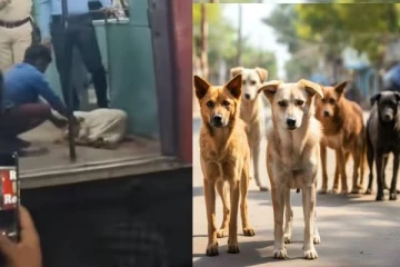 சாக்கு மூட்டையில் கிடந்த நாய்.. கொல்கத்தாவில் அரங்கேறிய கொடூரம் - பகீர் பின்னணி!