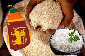 அரிசியில் கனரக உலோகங்கள்! விடுக்கப்பட்டுள்ள எச்சரிக்கை