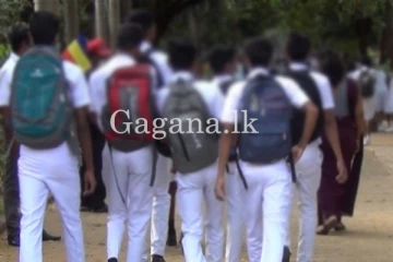 දින නියමයක් නොමැතිව මෙරට පාසල් 29ක් අද සිට වසා දමයි.