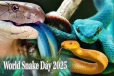சர்வதேச பாம்புகள் தினம் 2025: பாம்புகள் பழிவாங்குமா? அறிவியல் உண்மை இதுதான்