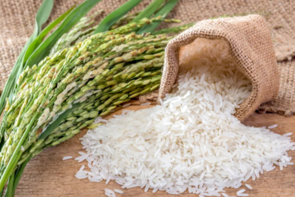 நெல்லுக்கான உத்தரவாத விலை வீழ்ச்சி | Guaranteed Price For Paddy Falls நெல்லுக்கான உத்தரவாத விலை வீழ்ச்சி | Guaranteed Price For Paddy Falls