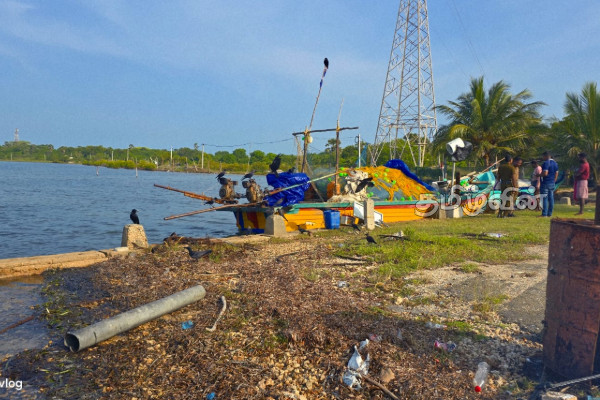அத்துமீறி கடற்றொழிலில் ஈடுபட்ட இந்திய கடற்றொழிலாளர்கள் கைது | Indian Fishermen Arrested For Illegal Fishing