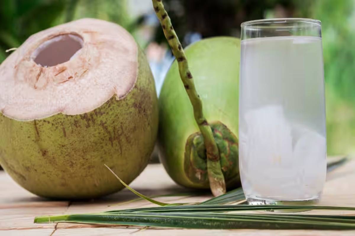 இளநீர் குடிப்பது உடல் எடை குறைக்க உதவுமா? எப்போது எப்படி குடிப்பது? | Does Drinking Coconut Water Help You Lose Weight