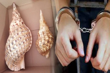 மட்டக்களப்பில் 2 கோடி ரூபா பெறுமதியான வலம்புரி சங்குகளுடன் ஒருவர் கைது