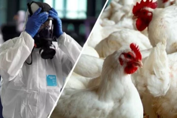 கொரோனாவுக்கு போட்டியாக சீன மக்களை அச்சுறுத்தும் மற்றுமொரு நோய்!