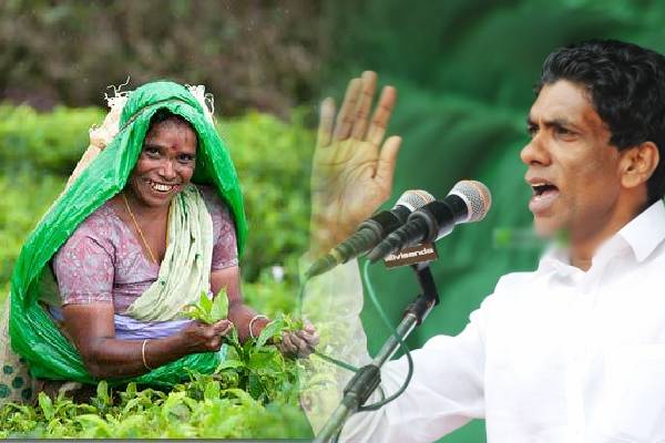 தோட்டத் தொழிலாளர்களின் சம்பள உயர்வால் வந்த வினை: திகாம்பரம் பகிரங்க குற்றச்சாட்டு | Digambaram Public Accusation