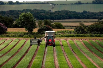 பூநகரி பிரதேச சபை எடுத்த முன்மாதிரியான நடவடிக்கை