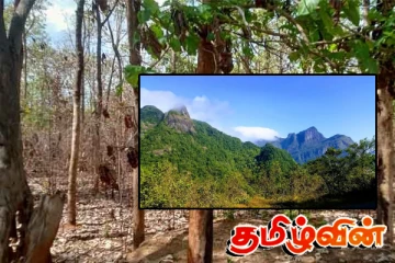 நக்கிள்ஸ் பாதுகாப்பு வனப்பகுதி பழைய வீதியை மீண்டும் திறப்பது குறித்து அதிருப்தி