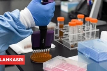 ஜேர்மனியில் இலவச கொரோனா பரிசோதனை குறித்து வெளியாகியுள்ள முக்கிய தகவல்