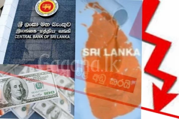 ඩොලරය අඛණ්ඩව පහළ යෑම නිසා ලබන සතියේ මුලු රටටම බලපාන දේක මිල අඩු කරයි..