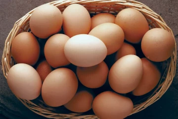 முட்டை இறக்குமதி குறித்து வெளியான தகவல்