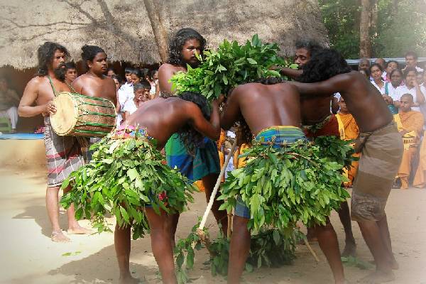 பேரழிவுக்கு இதுவே காரணம்.. பழங்குடியினத் தலைவர் வெளியிட்ட தகவல் | Ditwah Cyclone Sri Lanka Tribal Leader Atto