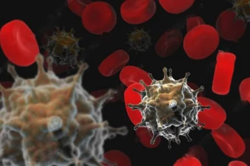 தீவிரமெடுக்கும் புதிய வைரஸ்; உலக நாடுகள் அலெர்ட் - அறிகுறிகள் என்னென்ன?