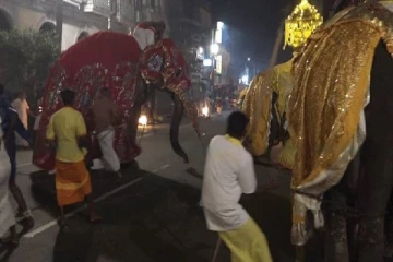 கண்டி பெரஹராவில் மதம்பிடித்த யானைகள் - மக்கள் பதற்றத்தில் ஓடியதனால் பரபரப்பு (படங்கள்)