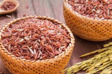 மீண்டும் அதிகரிக்கும் அரிசியின் விலை !