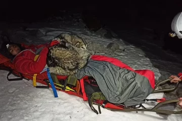 மலையேற்றத்துக்கு சென்றபோது காயமடைந்த நபர்... உயிரைக் காக்க செல்லப்பிராணி செய்த செயல்