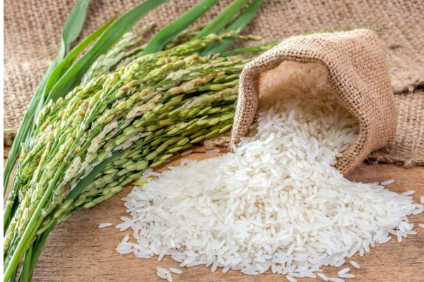 மன்னாரில் அதிக விலையில் அரிசி விற்பனை! நுகர்வோர் அதிகார சபை வழக்குப்பதிவு | Sale Of Rice At High Prices