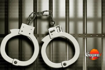 සද්දේ දාලා බයික් රේස් පැද්ද සෙට් එකක්ම අත්අඩංගුවට‍‍