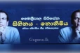 "එහෙම නෙවේ මෛත්‍රීපාල සිහිනය නිමිය.."මොකක්ද මේ හිටපු ජනපති කියන කතාව..(VIDEO)
