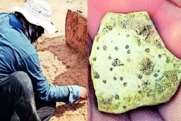 41,000 ஆண்டுகள் பழமையான நெருப்புக்கோழி கூடு..மிரண்டுபோன ஆய்வாளர்கள்- எங்கு தெரியுமா?