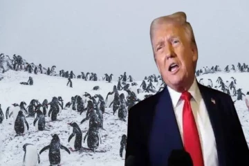 பென்குயின்கள் வசிக்கும் தீவுக்கும் வரி விதித்த டிரம்ப்