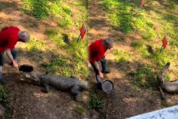 பாய்ந்து வந்த முதலையை தோசைக்கல்லால் அடித்து விரட்டிய பாட்டி! சிலிர்க்க வைக்கும் காட்சி