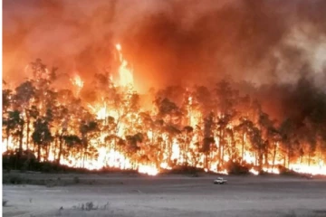 அவுஸ்திரேலியாவில் கட்டுக்கடங்காமல் எரியும் காட்டுத்தீ! 60க்கும் மேலான வீடுகள் சாம்பல்