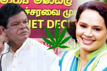 කංසා ගැන යෝජනාවක් ඇවිත් නැහැ. - ඇමතින ඩයනාට දෙහි කපයි. - (VIDEO)