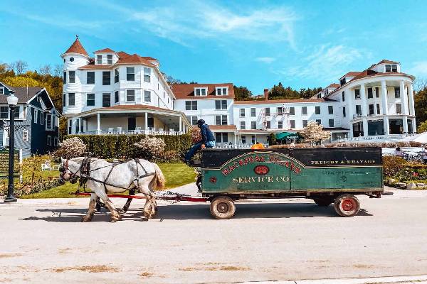 இன்றும் குதிரை வண்டி தானாம்... உலகின் வாகனங்கள் அற்ற ஒரே தீவு - காரணம் என்ன? | The World S Car Free Island Eason Why Not Used