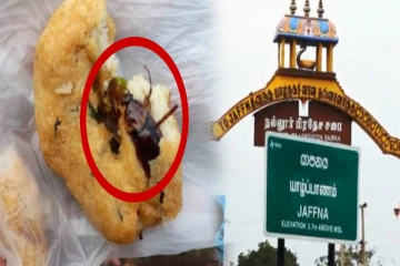 யாழ்.நகரில் உள்ள உணவகத்தில் கரப்பான் பூச்சி வடை! எடுக்கப்பட்ட சட்ட நடவடிக்கை