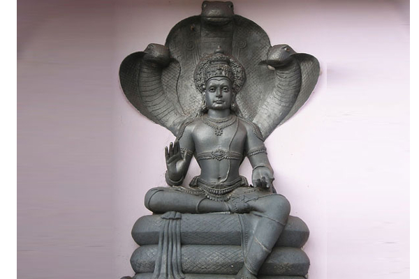 நாளைய தினம் நீச்சமடையவுள்ள சுக்கிரன்; அதிர்ஷ்டம் பெறவுள்ள ஆறு இராசிக்காரர்கள் | Six Zodiac Signs Will Be Lucky For Venus