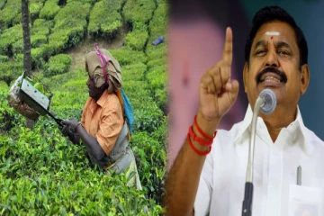 பசுந்தேயிலையின் குறைந்தபட்ச ஆதார விலையை உயர்த்தி வழங்காத திமுக அரசுக்கு கண்டனம் - எடப்பாடி பழனிசாமி!