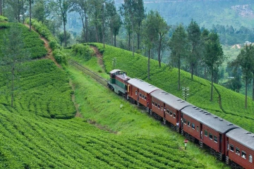 අද රාත්‍රී දුම්රියක් අවලංගු කෙරේ - දුම්රිය දෙපාර්තුමේන්තුවෙන් නිවේදනයක්