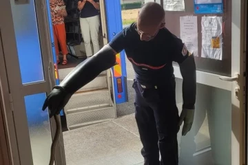 பிரான்ஸில் தனிமையில் இருந்த பெண்ணுக்கு குளியறையில் காத்திருந்த அதிர்ச்சி!