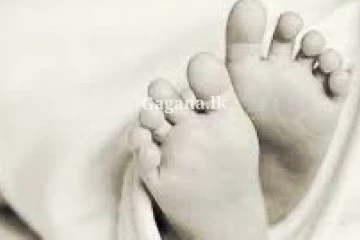 හිස බිත්තියක වැදී මෙලොවින් සමුගත් මාස 06 ක බිලිදියගේ සංවේදි කතාව.