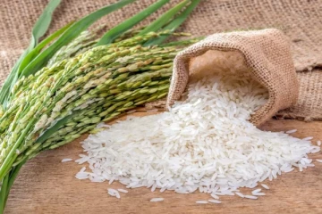 உலக அளவில் பதற்றத்தை உருவாக்கும் இந்தியாவின் தடை; உச்சத்தில் அரிசி விலை