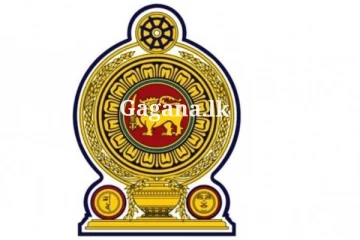 ජනතාවට භය වෙන්න දෙයක් නෑ - සියල්ල රජයෙන් නොමිලේම?.. රජය විශේෂ තීරණයකට ගිහින් මෙන්න.