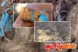 செம்மணி மனிதப் புதைகுழி விவகாரம்! மக்களுக்கு வெளியான முக்கிய அறிவிப்பு