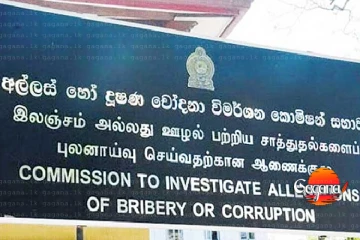 රජයේ වාණිජ (විවිධ) නීතිගත සංස්ථාවේ හිටපු සභාපති අල්ලස් දැලේ