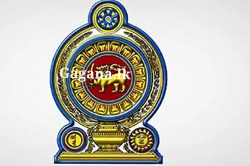 රාජ්‍ය සේවයට නව පත්වීම් 600ක් - සුබ ආරංචියක් මෙන්න..