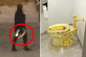 £4.75 மில்லியன் மதிப்புள்ள 18 காரட் தங்க கழிப்பறை: துணிகர திருட்டின் சிசிடிவி காட்சிகள்!