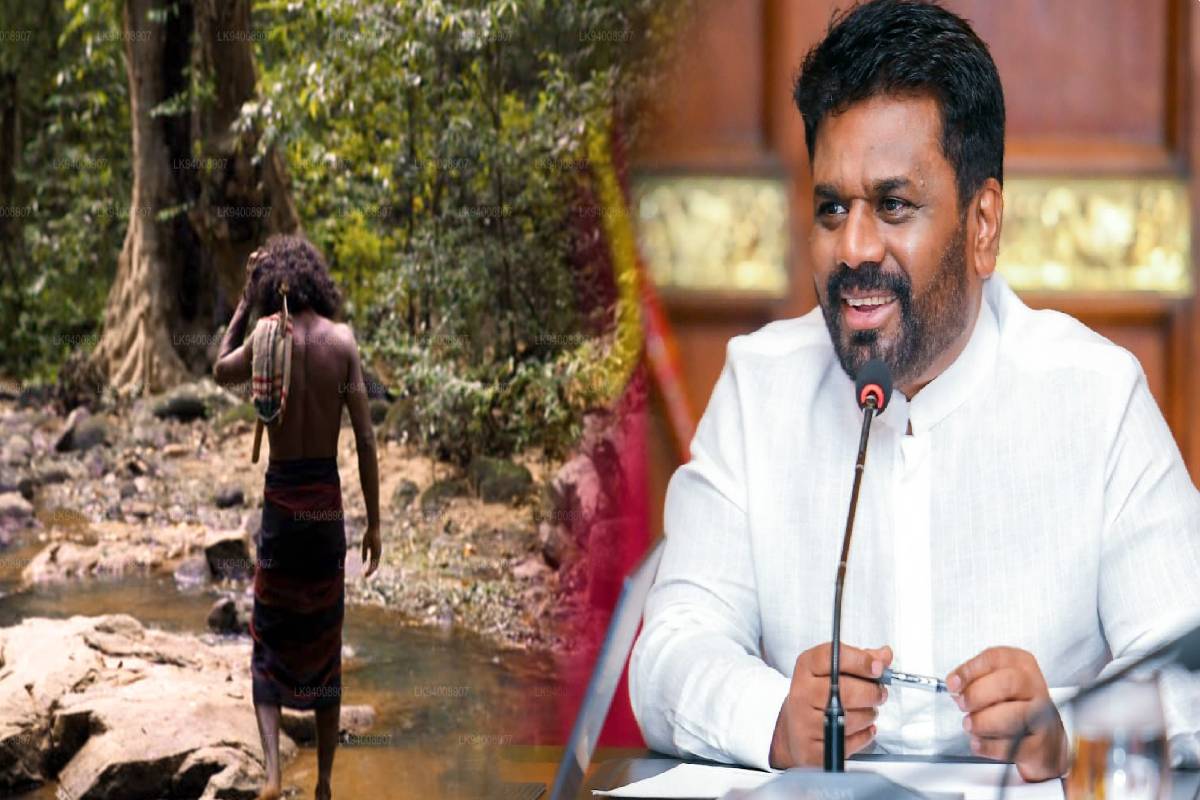 அம்பாறை கரையோரப் பகுதிகளின் போக்குவரத்தை மேம்படுத்த திட்டம்: ஆதம்பாவா எம்.பி | Adambawa Mp Announcement