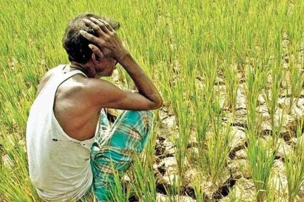 "பொய்யர்களிடமும் கள்வர்களிடமும் அகப்பட்ட விவசாய அமைச்சு" எம்.எம்.மஹ்தி குற்றச்சாட்டு | Ministry Of Agriculture M M Mahdi Allegation