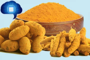 "விவசாயத்திலும் நுழைந்த AI Technology" மஞ்சள் வருமானம் பெறுக விவசாயத்திற்கு செய்த உதவி என்ன?