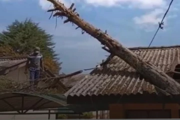 පාසලක ගොඩනැගිල්ලක් මතට විශාල ගසක් කඩා වැටී දැඩි හානි..ප්‍රාථමික අංශයට නිවාඩු දෙයි..