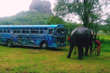 பேருந்தில் சென்ற மக்களிற்கு நெகிழ்ச்சியை ஏற்படுத்திய யானையின் உதவி