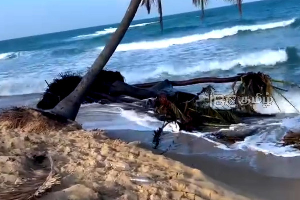 சுண்டிக்குளத்தில் அதிகரிக்கும் கடல் அரிப்பு! அழியும் பெறுமதிவாய்ந்த சொத்துக்கள் | Sea Erosion Is Increasing In Chundikulam Area