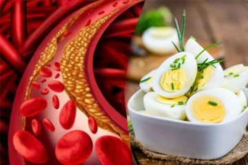 கொலஸ்ட்ரால் இருந்தால் முட்டை சாப்பிடலாமா?