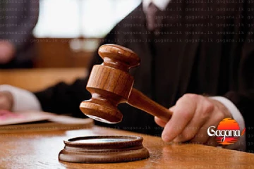 අන්ධ අලියා අලියා පුළුස්සා මැරූ තිදෙනාට ඇප