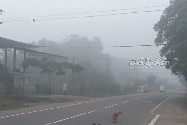 கிளிநொச்சியில் கடும் பனி மூட்டம் | Bad Weather Sri Lanka